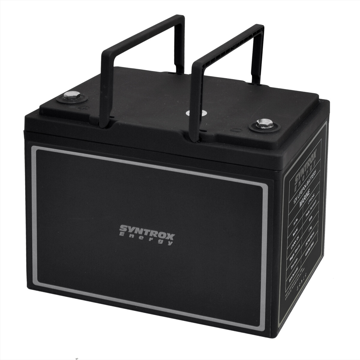 60Ah 12V Lifepo 4 Lithium Batterie | Akku mit BMS, Display